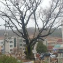 세곡사거리-시흥동 이미지