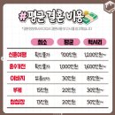 2025년 경남 진주 결혼비용 진짜 얼마나 들었을까 ?