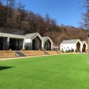 메리도그하우스2 이미지