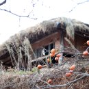 마음에고향 이미지