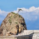 보동이네 이미지