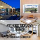 마마게스트하우스2 | 보령 머드축제 대천애견동반 숙소 BEST 3 가격 규정 총정리
