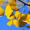 해드림요양원 이미지