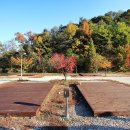 상주보 캠프존 휴 이미지