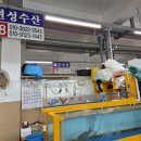 현성수산 이미지