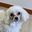 동암동물병원 이미지