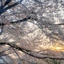 사근공원 이미지