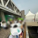 2025 올리브영 페스타 후기