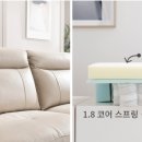 레가토 이미지