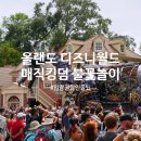팡팡할인마트 | 미국 올랜도 디즈니월드 가족여행 매직킹덤 어트랙션 불꽃놀이 후기 입장권 할인 꿀팁!