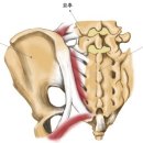 가든리체프라자 이미지