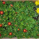 봉성마을회관 이미지