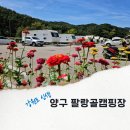 곰취향 가득한 팔랑골 캠핑장 이미지