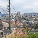 산호동175 이미지