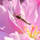 서촌생고기 이미지