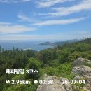 패밀리마트(무양중앙점)~버스터미널 | 해파랑길 3 코스