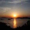 통영터널로가로수 이미지