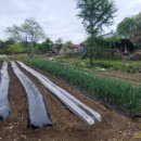 산정리경로당 이미지