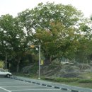 다락 가든 이미지