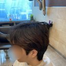 헤어루시 이미지