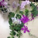 논현고잔동 주민센터 이미지