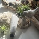 [다이음] 내면의 평화를 위한 캔들데이 | 평택공방 원데이클래스 추천 천연조향 고체향수 핸드크림 만들기 단체수업 기업 기관 외부출강 가능