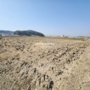 대천부동산공인중개사사무소 이미지