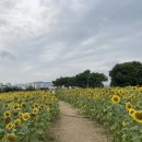 합동농장 이미지