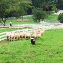 남해-176 이미지