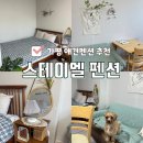 11545-05-14-19 | 서울근교 애견동반 펜션 추천 가평 스테이엘 펜션 내돈내산 5호방 솔직후기