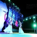 타이거벨리 이미지