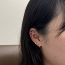 바디뷰티 네이버블로그