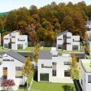 유니바움 이미지