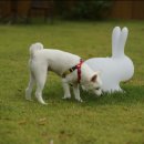 어부바펜션 이미지