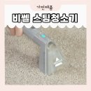 아이비셀 | 비셀 스팀청소기 결정 완료! 스팀, 살균, 소독되는 결국 이 모델을 선택한 3가지 이유