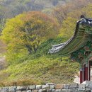 순천 송광사 단청과 대웅전의 숨은 문양