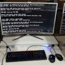 카라피시방 이미지