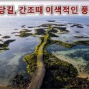 꽃길만걷자6 이미지