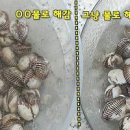 꼬막 삶는법 해감 꼬막비빔밥 양념장 만들기 꼬막무침 양념장 이미지