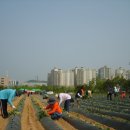 통정경로당 이미지