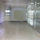 시드니힐 이미지