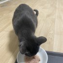 파인앤푸드