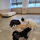 멍블랑 유치원 이미지