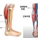 크로스핏펀앤팸 이미지