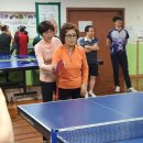고양탁구교실