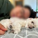 물맑음 펜션 이미지