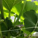 찬영농장 이미지