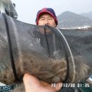 쭈꾸미꾸미 이미지