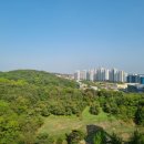 당진으뜸공인중개사사무소 이미지