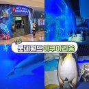 벨라.캣 | 잠실 실내데이트 하기 좋은 롯데월드 아쿠아리움에서 벨루가와 카피바라를 만나다 포토존, 주차정보...